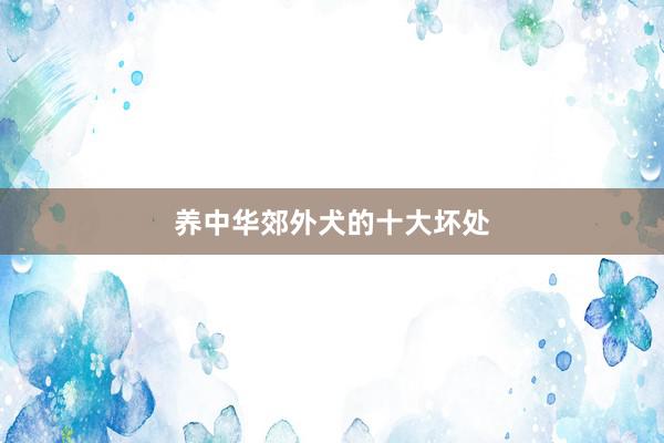 养中华郊外犬的十大坏处
