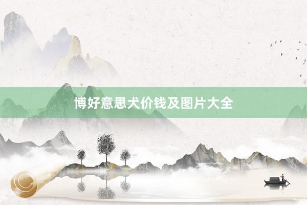 博好意思犬价钱及图片大全